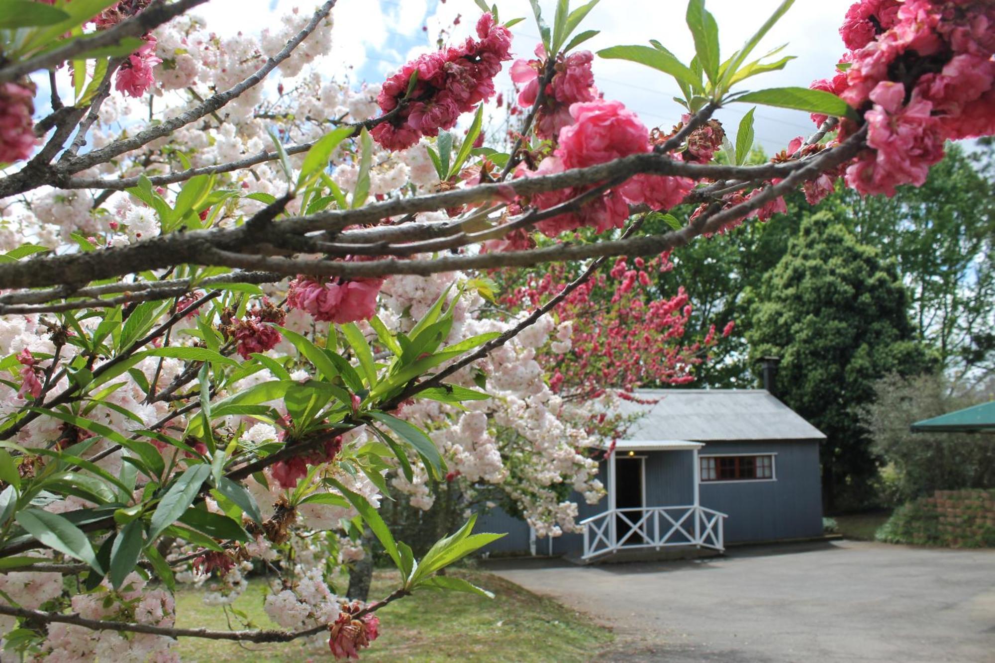 Mill Cottages Lidgetton 外观 照片